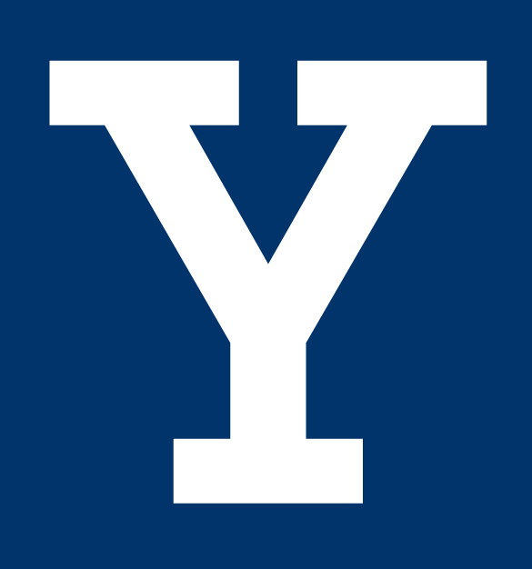 Yale Bulldogs 0-Pres Alternate Logo v2 diy fabric transfer